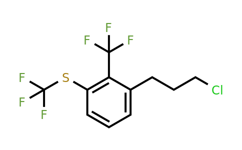 1806657-46-4 | 2-(3-Chloropropyl)-6-(trifluoromethylthio)benzotrifluoride