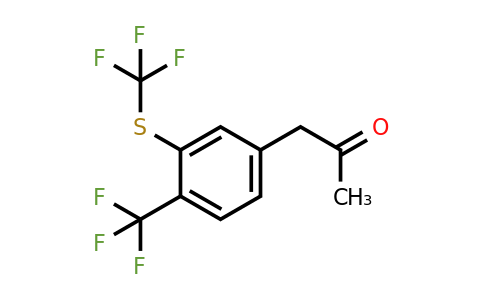 1806657-81-7 | 1-(4-(Trifluoromethyl)-3-(trifluoromethylthio)phenyl)propan-2-one