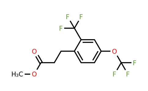 1806659-83-5 | Methyl 3-(4-(trifluoromethoxy)-2-(trifluoromethyl)phenyl)propanoate