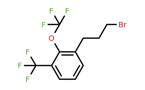 1806659-92-6 | 3-(3-Bromopropyl)-2-(trifluoromethoxy)benzotrifluoride