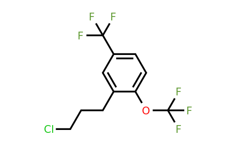 1806659-96-0 | 3-(3-Chloropropyl)-4-(trifluoromethoxy)benzotrifluoride