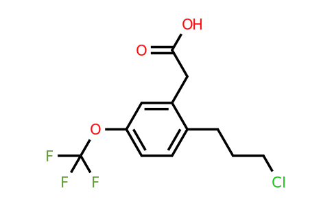 1806661-43-7 | 2-(3-Chloropropyl)-5-(trifluoromethoxy)phenylacetic acid