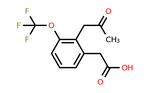 1806661-69-7 | 2-(2-Oxopropyl)-3-(trifluoromethoxy)phenylacetic acid