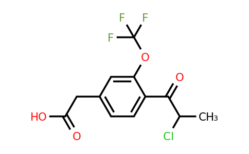 1806700-94-6 | 4-(2-Chloropropanoyl)-3-(trifluoromethoxy)phenylacetic acid