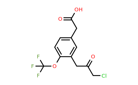 1806701-08-5 | 3-(3-Chloro-2-oxopropyl)-4-(trifluoromethoxy)phenylacetic acid