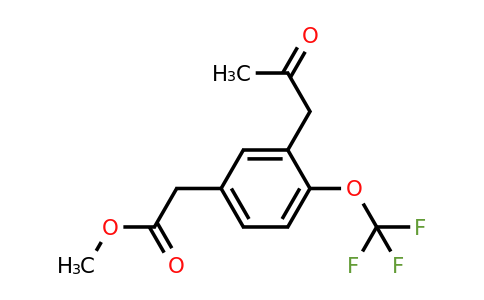 1806704-94-8 | Methyl 3-(2-oxopropyl)-4-(trifluoromethoxy)phenylacetate