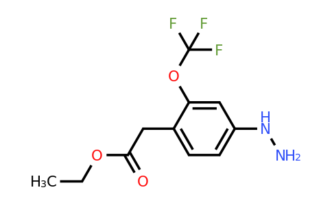 1806705-12-3 | Ethyl 4-hydrazinyl-2-(trifluoromethoxy)phenylacetate