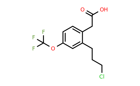 1806709-73-8 | 2-(3-Chloropropyl)-4-(trifluoromethoxy)phenylacetic acid