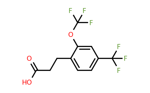 1806711-65-8 | 3-(2-(Trifluoromethoxy)-4-(trifluoromethyl)phenyl)propanoic acid
