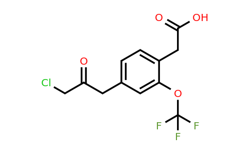 1806712-22-0 | 4-(3-Chloro-2-oxopropyl)-2-(trifluoromethoxy)phenylacetic acid