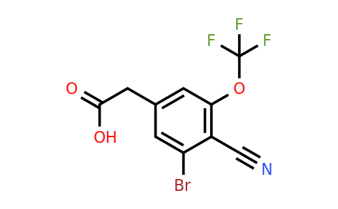 1806848-53-2 | 3-Bromo-4-cyano-5-(trifluoromethoxy)phenylacetic acid