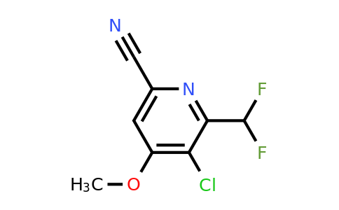 3-Chloro-6-cyano-2-(difluoromethyl)-4-methoxypyridine