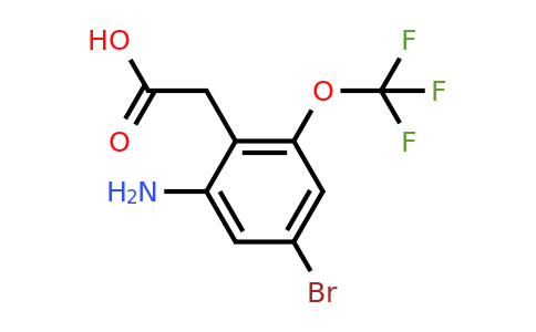 1806997-07-8 | 2-Amino-4-bromo-6-(trifluoromethoxy)phenylacetic acid