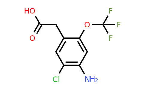 1807021-61-9 | 4-Amino-5-chloro-2-(trifluoromethoxy)phenylacetic acid