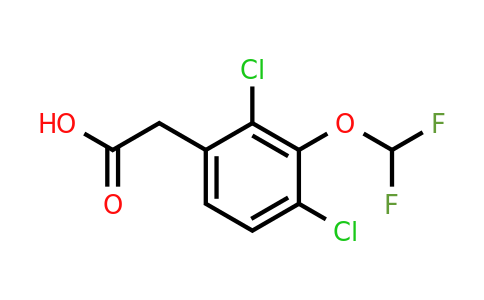 1807037-87-1 | 2,4-Dichloro-3-(difluoromethoxy)phenylacetic acid