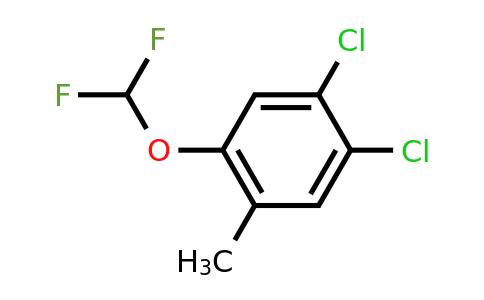 1807052-48-7 | 4,5-Dichloro-2-(difluoromethoxy)toluene