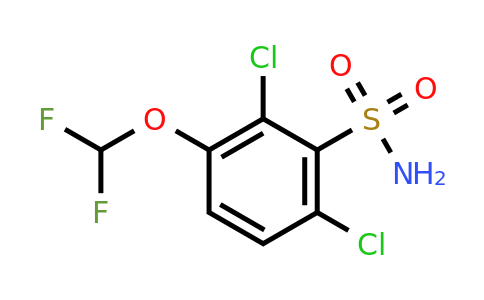 1807058-42-9 | 2,6-Dichloro-3-(difluoromethoxy)benzenesulfonamide