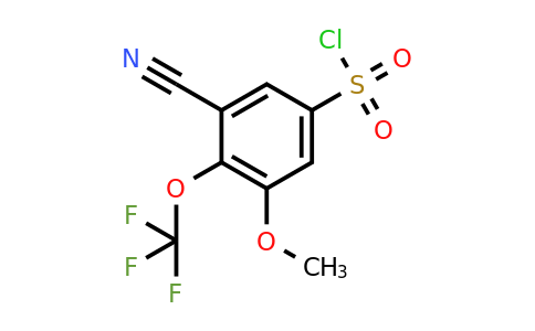 1807070-85-4 | 3-Cyano-5-methoxy-4-(trifluoromethoxy)benzenesulfonylchloride