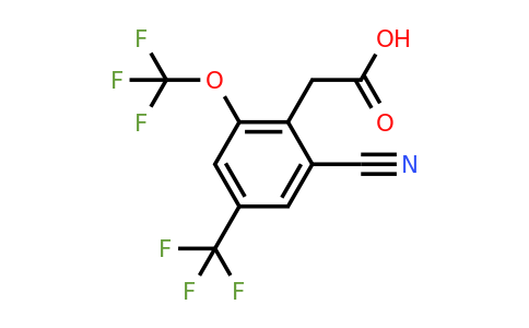 1807076-48-7 | 2-Cyano-6-trifluoromethoxy-4-(trifluoromethyl)phenylacetic acid