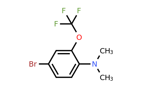 1807078-74-5 | 1-Bromo-4-dimethylamino-3-(trifluoromethoxy)benzene
