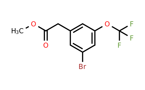 1807121-37-4 | Methyl 3-bromo-5-(trifluoromethoxy)phenylacetate