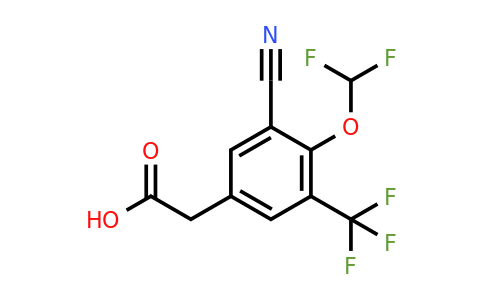 1807166-28-4 | 3-Cyano-4-difluoromethoxy-5-(trifluoromethyl)phenylacetic acid