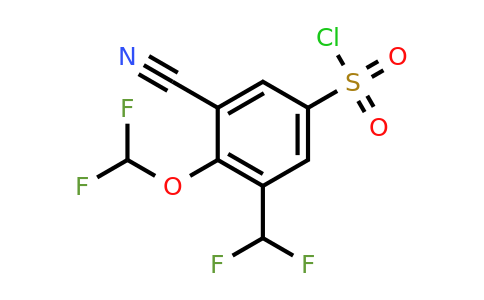 1807178-67-1 | 3-Cyano-4-difluoromethoxy-5-(difluoromethyl)benzenesulfonylchloride