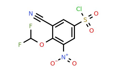 1807179-26-5 | 3-Cyano-4-difluoromethoxy-5-nitrobenzenesulfonylchloride