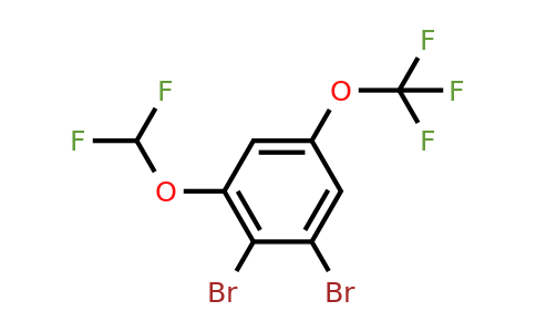 1807181-16-3 | 1,2-Dibromo-3-difluoromethoxy-5-(trifluoromethoxy)benzene