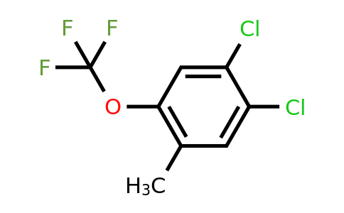 1807183-33-0 | 4,5-Dichloro-2-(trifluoromethoxy)toluene