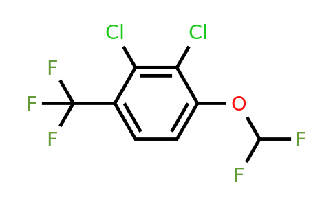1807184-41-3 | 2,3-Dichloro-1-(difluoromethoxy)-4-(trifluoromethyl)benzene
