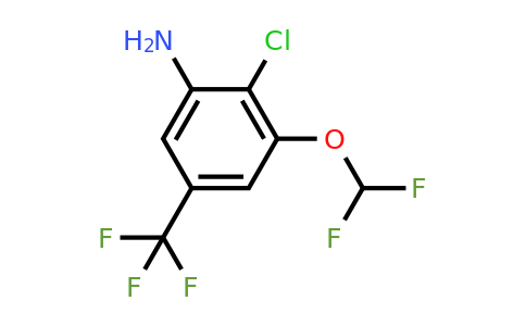 1807213-64-4 | 2-Chloro-3-difluoromethoxy-5-(trifluoromethyl)aniline