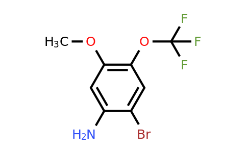 1807214-56-7 | 2-Bromo-5-methoxy-4-(trifluoromethoxy)aniline