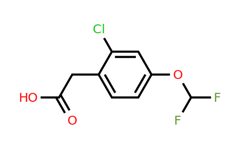 1807218-50-3 | 2-Chloro-4-(difluoromethoxy)phenylacetic acid