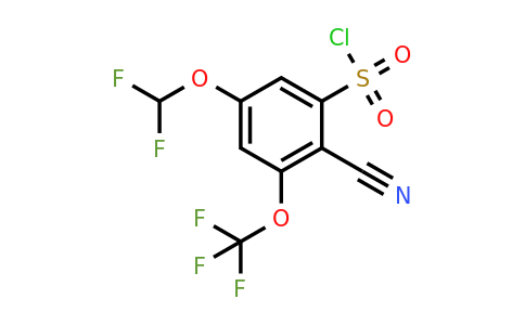 1807229-66-8 | 2-Cyano-5-difluoromethoxy-3-(trifluoromethoxy)benzenesulfonylchloride