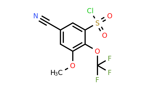 1807235-69-3 | 5-Cyano-3-methoxy-2-(trifluoromethoxy)benzenesulfonylchloride