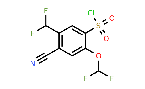 1807241-53-7 | 4-Cyano-2-difluoromethoxy-5-(difluoromethyl)benzenesulfonylchloride