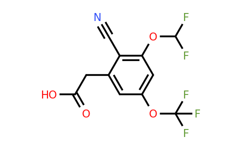 1807241-69-5 | 2-Cyano-3-difluoromethoxy-5-(trifluoromethoxy)phenylacetic acid