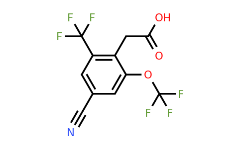 1807249-62-2 | 4-Cyano-2-trifluoromethoxy-6-(trifluoromethyl)phenylacetic acid