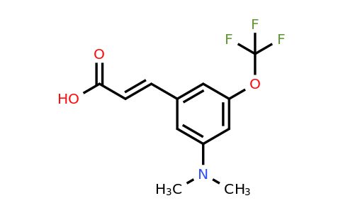 1807312-94-2 | 3-Dimethylamino-5-(trifluoromethoxy)cinnamic acid
