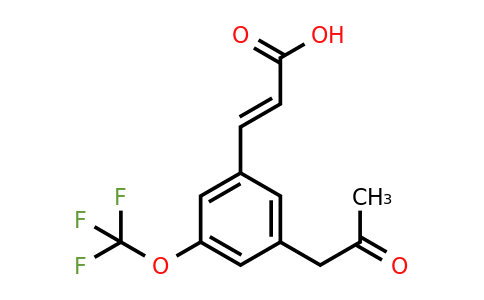 1807396-07-1 | 3-(2-Oxopropyl)-5-(trifluoromethoxy)cinnamic acid