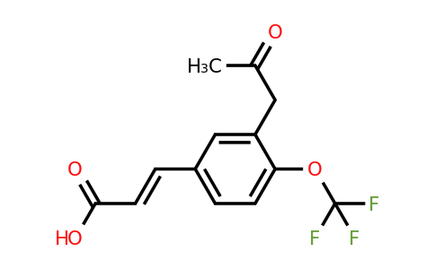 1807404-74-5 | 3-(2-Oxopropyl)-4-(trifluoromethoxy)cinnamic acid