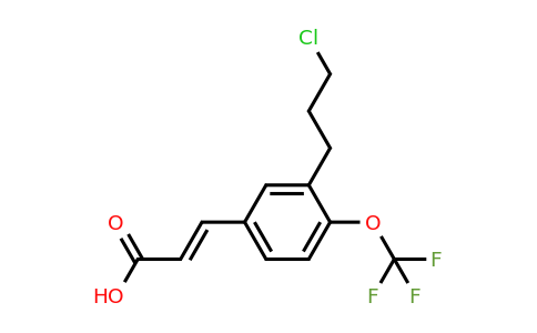 1807408-26-9 | 3-(3-Chloropropyl)-4-(trifluoromethoxy)cinnamic acid