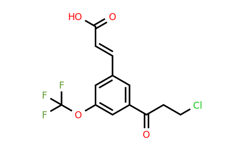 1807417-19-1 | 3-(3-Chloropropanoyl)-5-(trifluoromethoxy)cinnamic acid