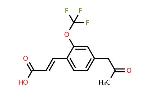 1807417-26-0 | 4-(2-Oxopropyl)-2-(trifluoromethoxy)cinnamic acid
