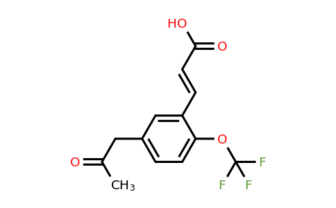 1807420-52-5 | 5-(2-Oxopropyl)-2-(trifluoromethoxy)cinnamic acid