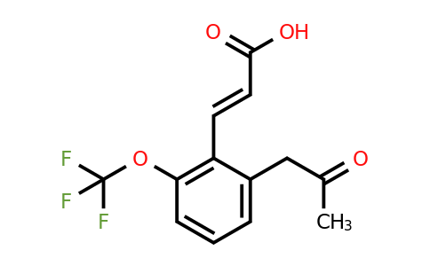 1807427-55-9 | 2-(2-Oxopropyl)-6-(trifluoromethoxy)cinnamic acid