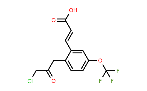 1807433-61-9 | 2-(3-Chloro-2-oxopropyl)-5-(trifluoromethoxy)cinnamic acid