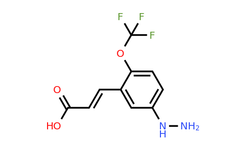 1807433-77-7 | 5-Hydrazinyl-2-(trifluoromethoxy)cinnamic acid