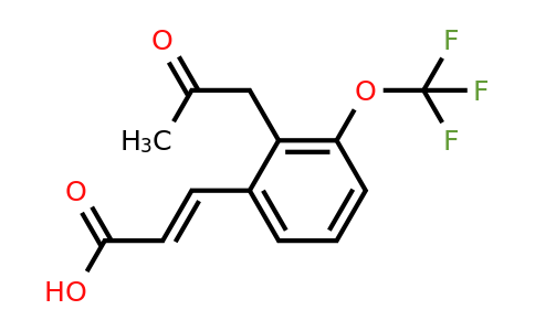 1807434-12-3 | 2-(2-Oxopropyl)-3-(trifluoromethoxy)cinnamic acid